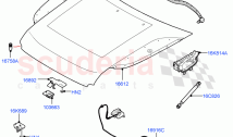 Hood And Related Parts