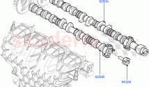 Timing Gear, Camshafts & Drive