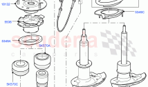 Rear Springs And Shock Absorbers (Changsu (China)) ((V) FROMEG000001)