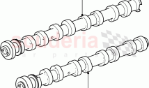 Timing Gear, Camshafts & Drive