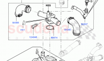 Thermostat/Housing & Related Parts (4.4L DOHC DITC V8 Diesel)