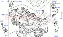 Inlet Manifold (2.2L CR DI 16V Diesel, 2.2L DOHC EFI TC DW12)