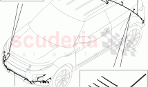Electrical Wiring - Body And Rear (Bumper) (Halewood (UK))