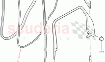 Rear Doors, Hinges & Weatherstrips (Finisher And Seals)