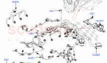 Electrical Wiring - Engine And Dash (2.0L I4 High DOHC AJ200 Petrol) ((V) FROMJA00&hellip;