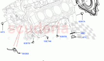 Engine/Block, Heads & Manifolds