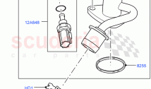 Thermostat/Housing & Related Parts (Cologne V6 4.0 EFI (SOHC)) ((V) FROMAA000001)