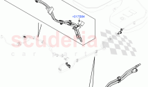 Fuel System - Tank & Lines