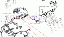 Engine Harness (RH Side) (4.4 V8 Turbo Petrol (NC10))