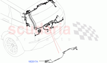 Electrical Wiring - Body And Rear (Tailgate) (Halewood (UK))