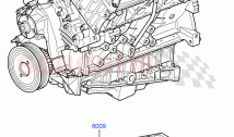 Service Engine And Short Block (Cologne V6 4.0 EFI (SOHC)) ((V) FROMAA000001)