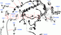 Engine Harness (3.0L AJ20P6 Petrol High)