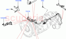 Transmission Harness (2.0L I4 DSL MID DOHC AJ200, 2.0L I4 DSL HIGH DOHC AJ200, 3.0&hellip;