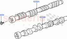Timing Gear, Camshafts & Drive