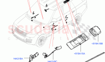 Interior Lamps (Tailgate, Door - Front/Rear)