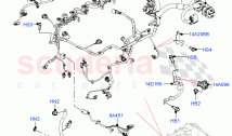 Engine Harness (RHD) (3.0L AJ20P6 Petrol High) ((V) FROMMA000001)