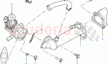 Exhaust Gas Recirculation ((V) FROMCA000001)