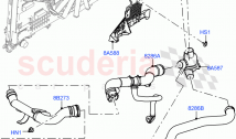Thermostat/Housing & Related Parts (Solihull Plant Build) (3.0 V6 D Gen2 Mono Turb&hellip;