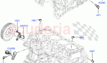 Engine/Block, Heads & Manifolds