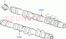 Timing Gear, Camshafts & Drive