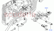 Engine Cooling