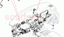 Facia Harness ((V) TOL2999999)