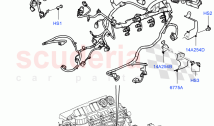 Electrical Wiring - Engine And Dash (5.0L OHC SGDI NA V8 Petrol - AJ133) ((V) FROM&hellip;