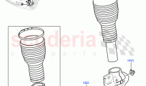 Front Suspension Struts And Springs