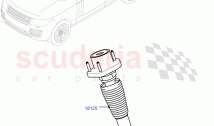 Rear Springs And Shock Absorbers (5.0L P AJ133 DOHC CDA S/C Enhanced, Standard Whe&hellip;
