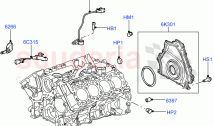 Engine/Block, Heads & Manifolds