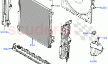 Radiator/Coolant Overflow Container (3.0L AJ20D6 Diesel High)