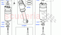 Front Suspension Struts And Springs ((V) FROMAA000001)