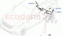 Electrical Wiring - Chassis