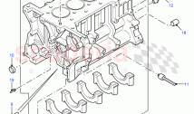 Cylinder Block And Plugs (2.4L Duratorq-TDCi HPCR (140PS) -Puma) ((V) FROM7A000001&hellip;