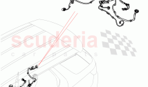 Electrical Wiring - Chassis (Changsu (China)) ((V) FROMKG446857)
