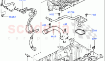 Oil Pan/Oil Level Indicator (4.4L DOHC DITC V8 Diesel) ((V) FROMBA000001)