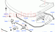 Hood And Related Parts