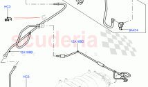 Vacuum Control And Air Injection (5.0L OHC SGDI NA V8 Petrol - AJ133, LHD) ((V) FR&hellip;