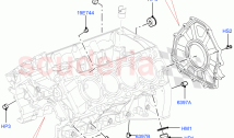 Engine/Block, Heads & Manifolds