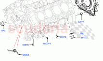 Engine/Block, Heads & Manifolds