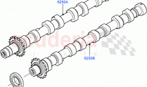 Camshaft (2.2L CR DI 16V Diesel, 2.2L DOHC EFI TC DW12)