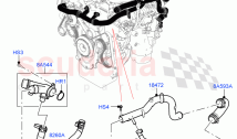 Thermostat/Housing & Related Parts (2.0L I4 Mid DOHC AJ200 Petrol, 2.0L AJ200P Hi &hellip;