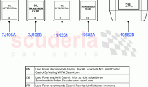 Transmission & Power Steering Oil
