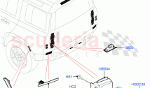 Rear Lamps