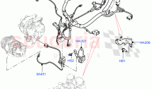 Engine Harness (1.5L AJ20P3 Petrol High, Halewood (UK)) ((V) FROMMH000001)