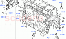 Engine/Block, Heads & Manifolds