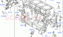 Cylinder Block And Plugs (2.2L DOHC EFI TC DW12, 2.2L CR DI 16V Diesel)