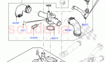 Thermostat/Housing & Related Parts (4.4L DOHC DITC V8 Diesel) ((V) FROMBA000001)