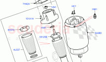 Rear Springs And Shock Absorbers (Nitra Plant Build) ((V) FROMM2000001)