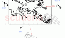 Electrical Wiring - Engine And Dash (Engine) (2.0L I4 DSL MID DOHC AJ200, Halewood&hellip;